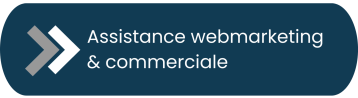 Assistance-webmarketing-commerciale