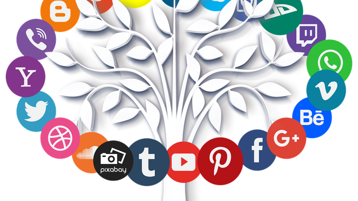 kpb gestion, Assistante, gestion des réseaux par plateforme